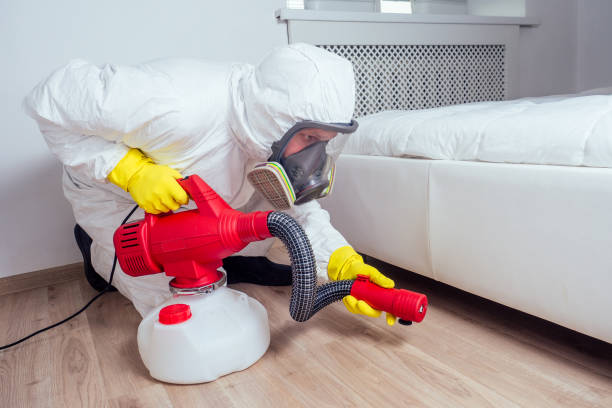 Best Affordable Pest Control Services  in Beech Grove, IN
