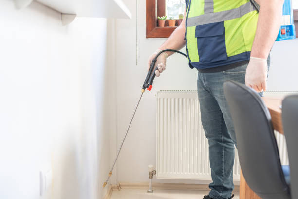 Best Flea Control Services  in Beech Grove, IN