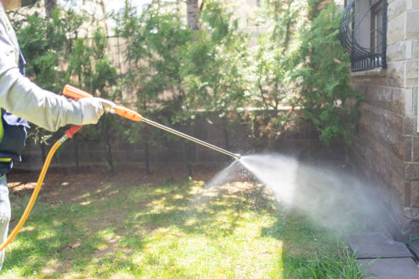 Wildlife Control Services in Beech Grove, IN