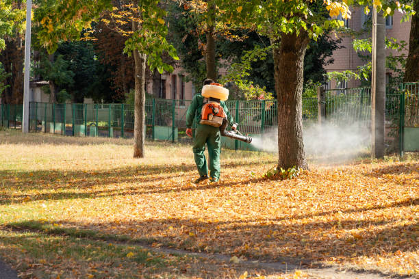 Best Flea Control Services  in Beech Grove, IN